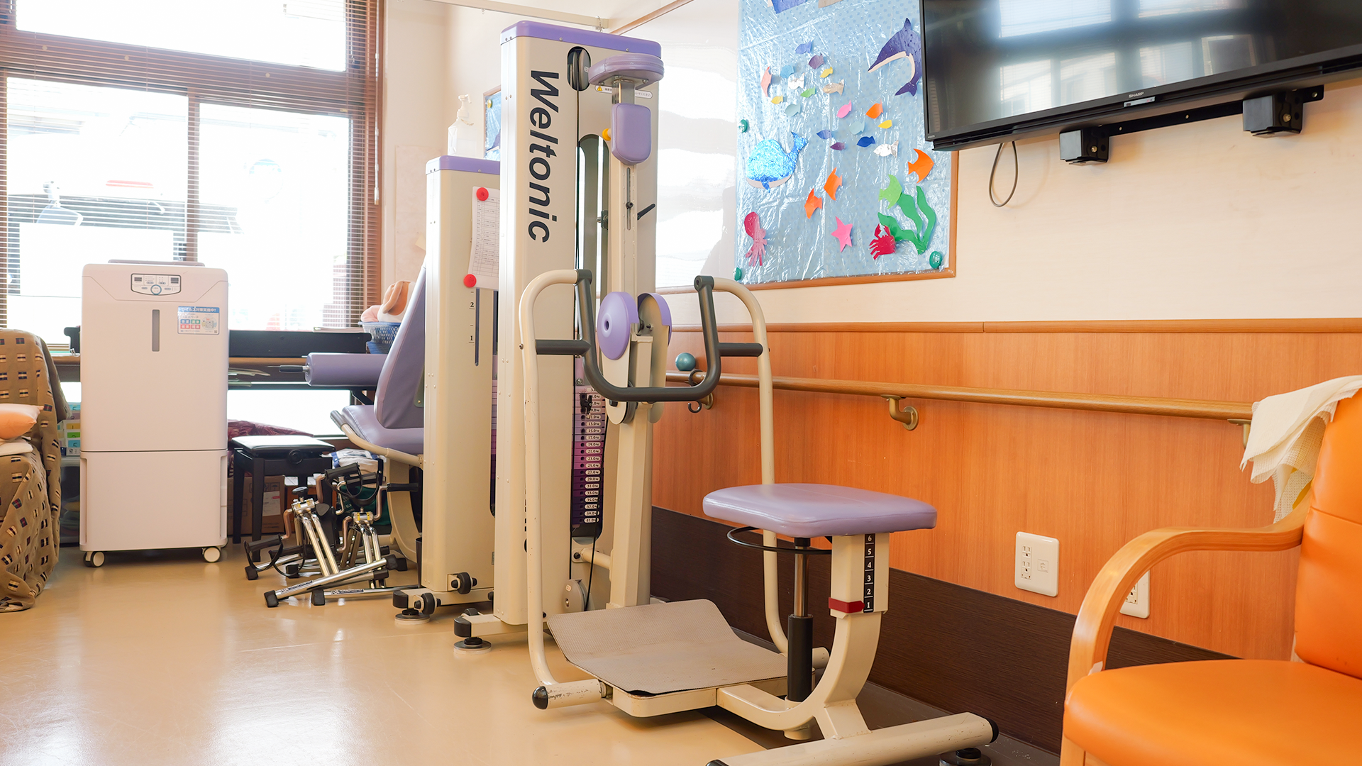 体幹回旋トレーナー(Weltronic)