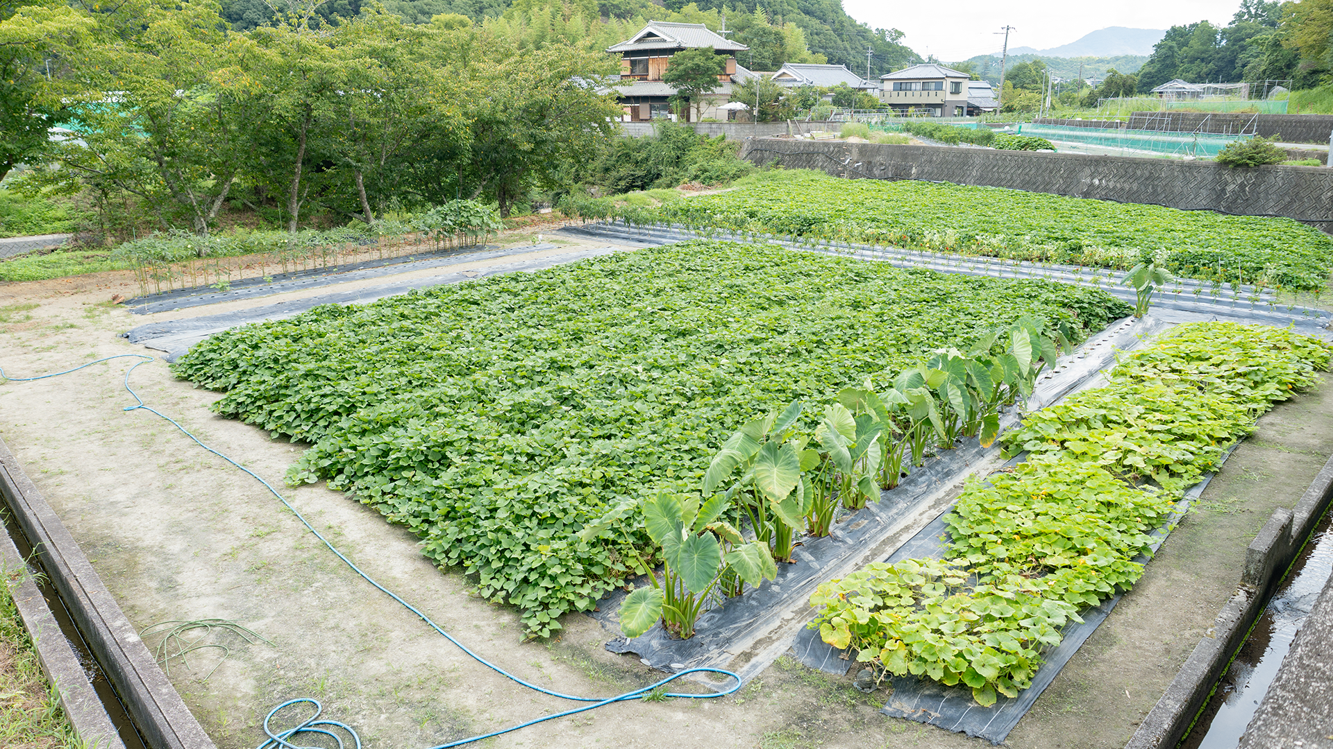 就労支援事業所B型 そらりおファーム