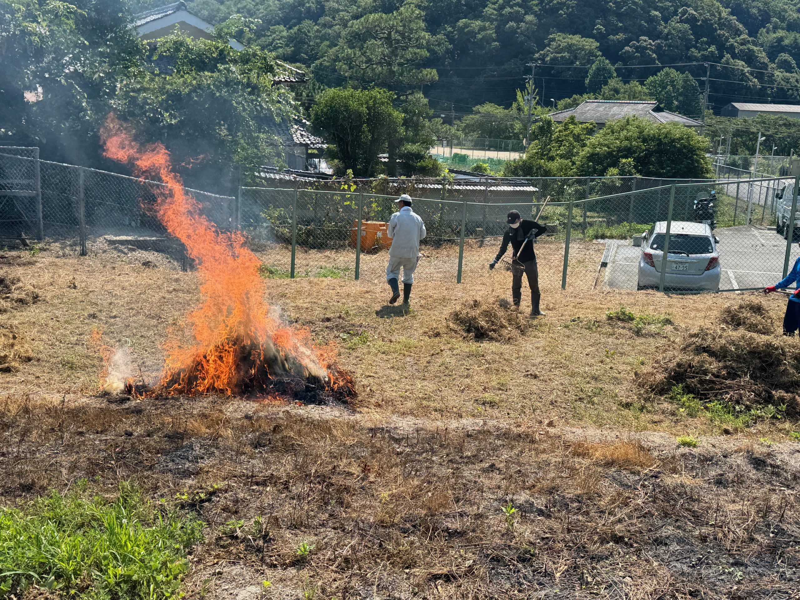 畑での貴重な農作業体験の様子